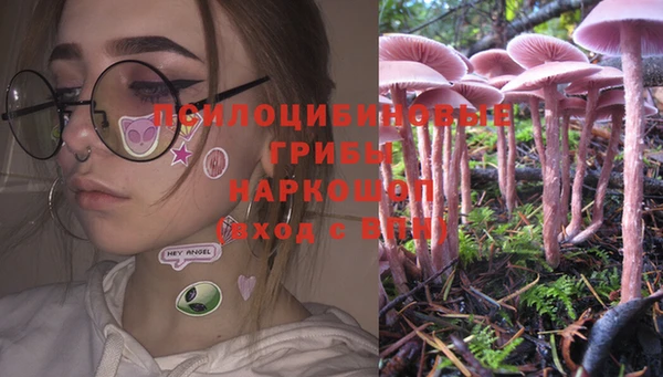 прущая мука Баксан