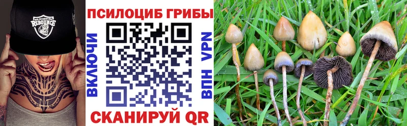 что такое   Барабинск  KRAKEN сайт  Псилоцибиновые грибы Cubensis 