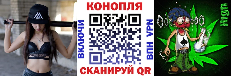 магазин    Барабинск  Бошки марихуана THC 21% 